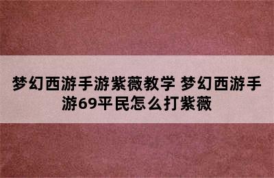 梦幻西游手游紫薇教学 梦幻西游手游69平民怎么打紫薇